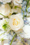 Deine Traumhochzeit - Fallback Bild