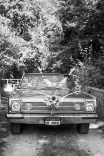 Deine Traumhochzeit - Fallback Bild